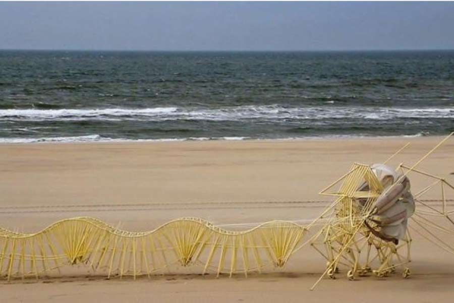 এই কৃত্রিম প্রাণীগুলোকে তৈরি করা হয়েছে আশপাশের পরিবেশের সঙ্গে মানানসই করে। যাতে কোনও অবস্থাতেই তাদের মাধ্যমে দৃশ্যদূষণের কোনও সম্ভাবনা না থাকে এবং অনায়াসে তারা সমুদ্রতট দাপিয়ে ঘুরে বেড়াতে পারে।