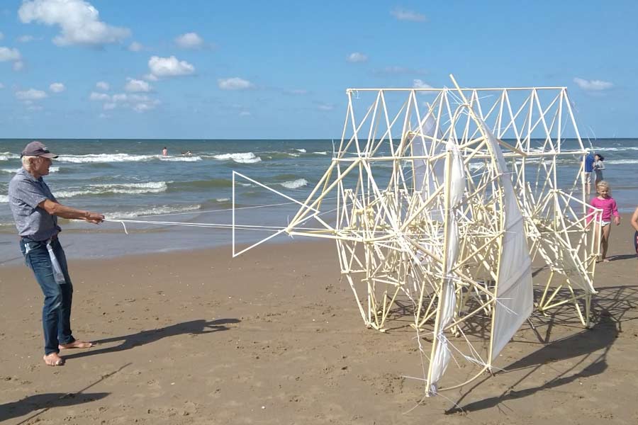 কবে প্রথম তাঁর মাথায় এমন কল্পনা এল? এই প্রশ্নের উত্তরে থিয়ো বলেন, ‘‘আমি নেদারল্যান্ডসের সংবাদপত্রে কলাম লিখতাম। ১৯৯০ সালে সমুদ্রতটে কঙ্কাল নিয়ে লিখে খুব মজা পেয়েছিলাম। আমার ভাবনা ছিল, কঙ্কালগুলোর আশেপাশে বালি আটকে বালিয়াড়ি তৈরি হবে। এতে সমুদ্রের এগিয়ে আসা রোধ করা যাবে। তবে গোটাটাই আমার কল্পনা ছিল।’’