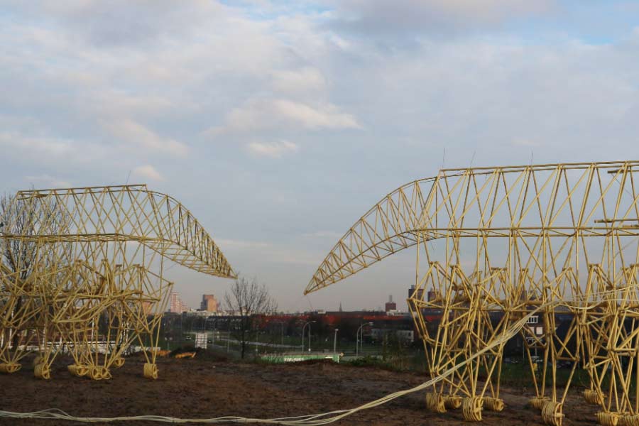 গ্রীষ্মকালটা সমুদ্রতটেই কাটান আদতে স্কেভেনিনজেনের বাসিন্দা থিও। গত প্রায় দু’দশক ধরে তিনি বিস্ট নিয়ে গবেষণা করছেন শিল্পী। এ ক্ষেত্রে তাঁকে সহায়তা করেছে নিজের পদার্থবিদ্যার জ্ঞান। দৈর্ঘ্যের অনুপাতও নিখুঁত ভাবে পরিকল্পনা করেছেন।