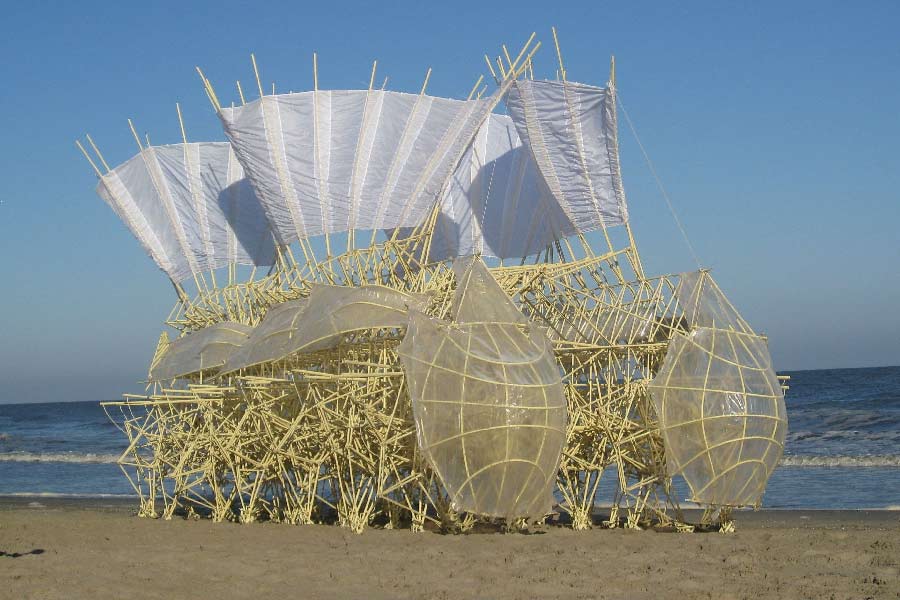 থিয়ো ব্যাখ্যা করেছেন সেই প্রযুক্তি। তিনি বলেন, ‘‘একটি দণ্ডের গতি সরলরৈখিক। কিন্তু চক্রাকার মেরুদণ্ডের গতি তো তেমন নয়। তা হলে উপায়? এ ক্ষেত্রে মেরুদণ্ডের চক্রাকার গতিকে সরলরৈখিক গতিতে রূপান্তরিত করা হয়। অর্থাৎ উপরের কাঠামো হাওয়া থেকে টানা শক্তি মেরুদণ্ডে পাঠায়। চক্রাকার গতি তার পর রূপান্তরিত হয় সরলরৈখিক গতিতে। আর পা ফেলে ফেলে এগিয়ে চলে বিস্ট।’’