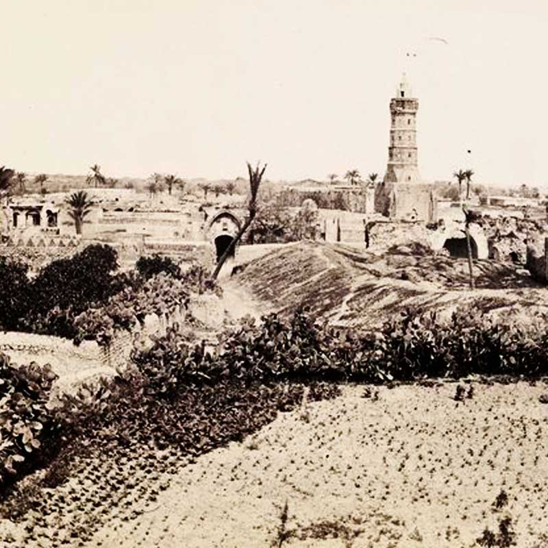 বর্তমান গাজা শহরের কাছে আজ থেকে প্রায় সাড়ে তিন হাজার বছর আগে ১৩০০ খ্রিস্ট পূর্বাব্দে রাইনোকোলুরা শহরটি তৈরি হয়েছিল।