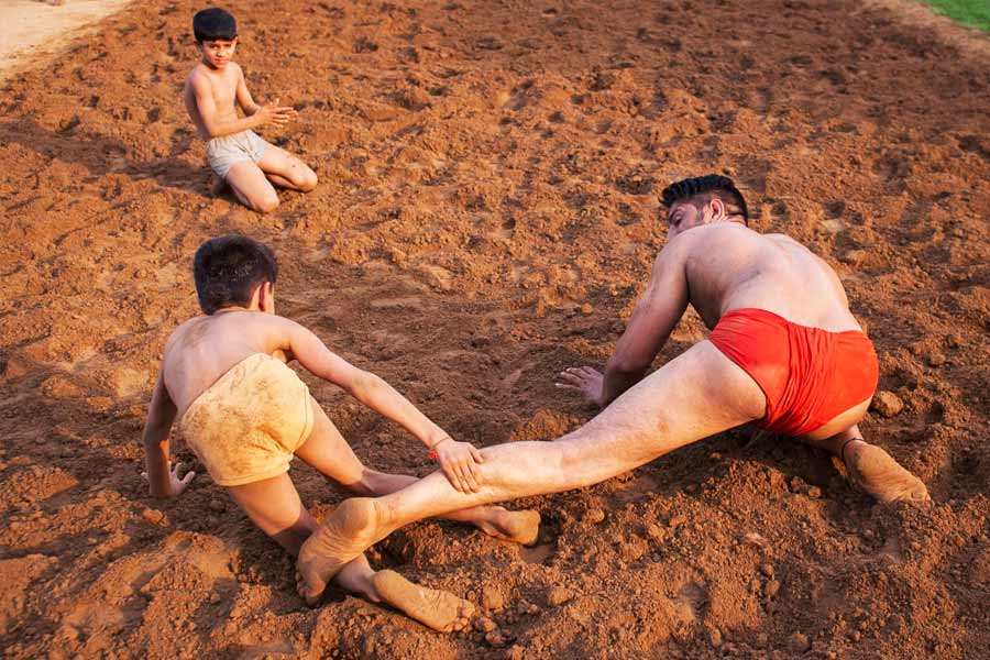 তনওয়ারের দাবি, তাঁকে দেখেই পরে গ্রামের যুবকরা বাউন্সারের কাজ নিচ্ছেন। এবং এখন সারা দেশের ছোট-বড় শহরে কাজ করছেন তাঁরা। তিনি জানান, গ্রামের কেউ নেশা করেন না। পুষ্টিকর খাবার খান। আর সবাই এই লোহার মতো শরীর তৈরি করেছেন কঠোর পরিশ্রম করে। কোনও সাপ্লিমেন্টের ধার ধারেন না তাঁরা।