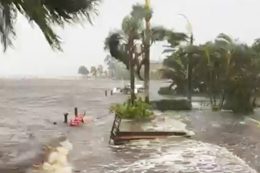 ইয়ানের প্রভাবে ফ্লরিডার সমুদ্র উত্তাল। প্রচুর হাঙর উত্তাল সমুদ্র থেকে উপকূলবর্তী এলাকাগুলিতে উঠে এসেছে।