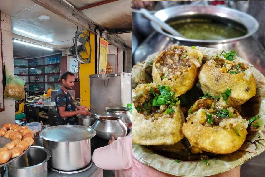 রবীন্দ্র সরণির রাজা পাপু ফুচকা ওয়ালার ঝুলিতে ঠাসা হরেক মজা।