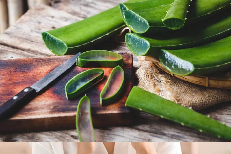 ত্বকে ব্রণ চোখে পড়লেই পুরু করে অ্যালোভেরার জেল লাগিয়ে নিন।