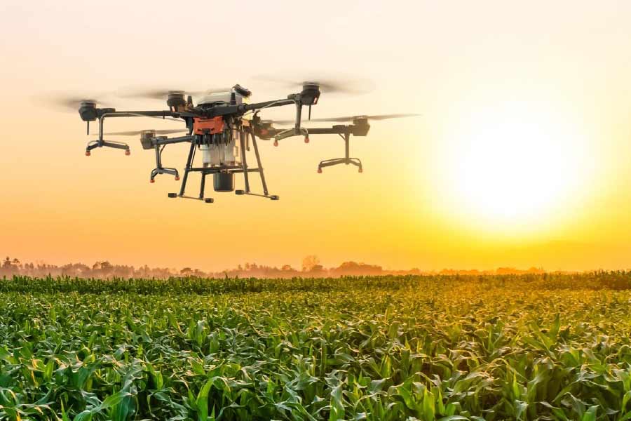 To spray pesticides in agricultural land  Drones are used in Sundarban