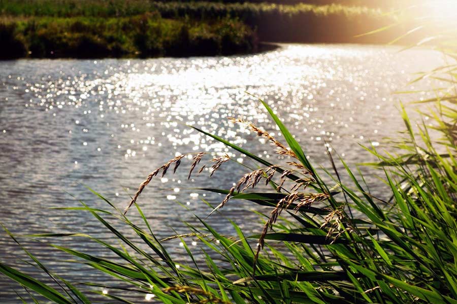 The Rainbow River in Colombia has different colored water flow to attract tourists.