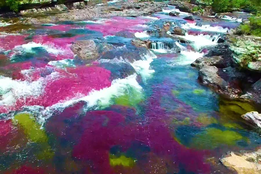 The Rainbow River in Colombia has different colored water flow to attract tourists.