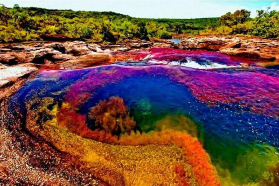 The Rainbow River in Colombia has different colored water flow to attract tourists.