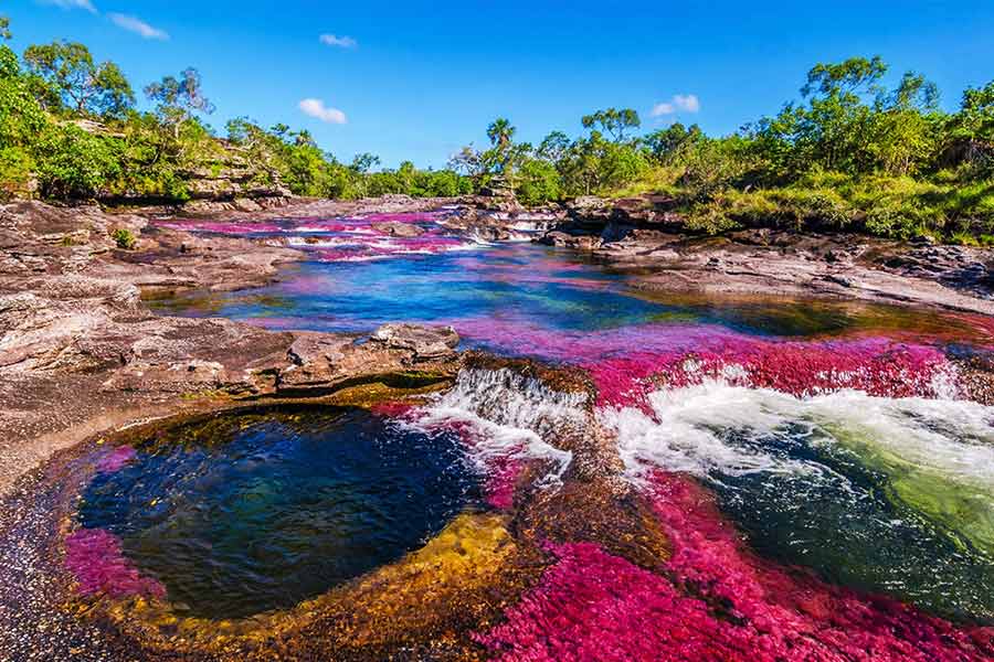 The Rainbow River in Colombia has different colored water flow to attract tourists.