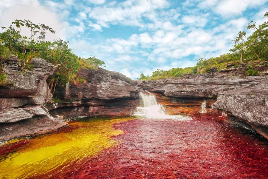The Rainbow River in Colombia has different colored water flow to attract tourists.