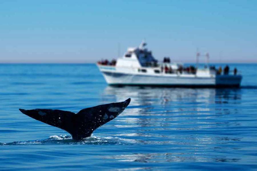 representative photo of boat