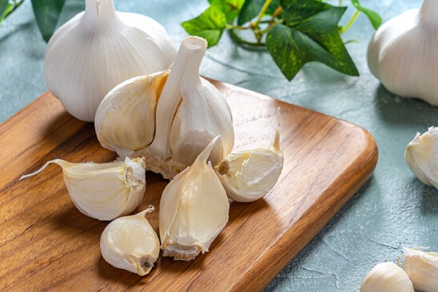 image of garlic