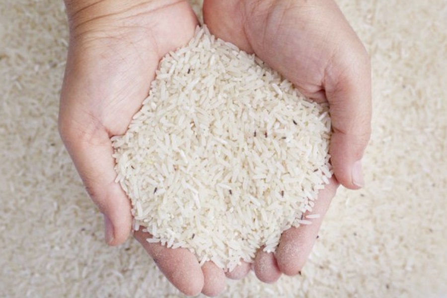 Tips to Prevent Rice Infestation