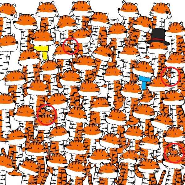 সমাধান। 