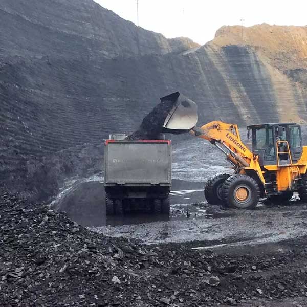 People who were murdered like Raju Jha in Bardhaman in connection with Coal Scam.