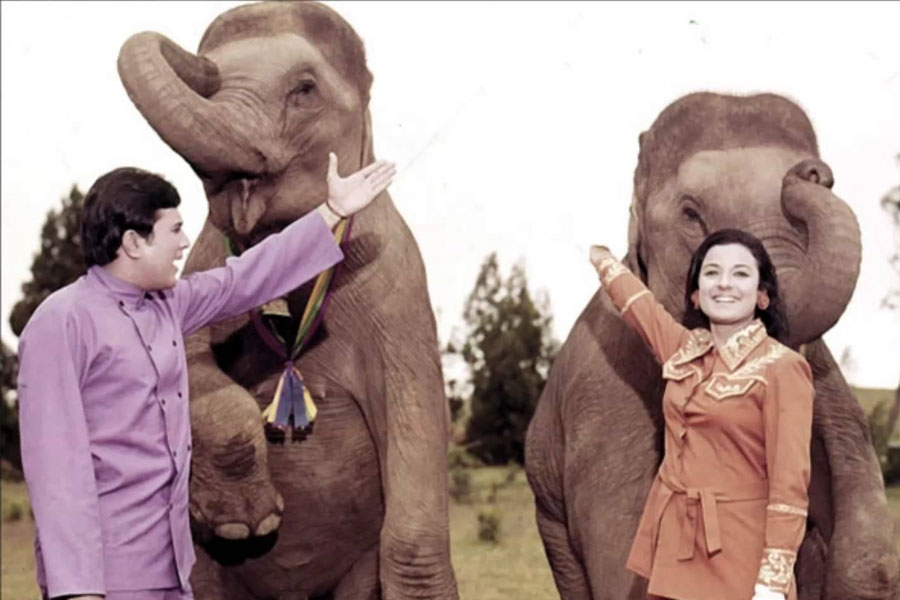 image of the set of Haathi Mere Saathi