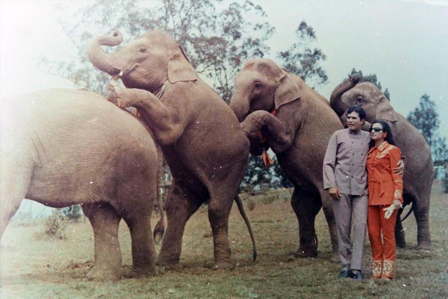 image of the set of Haathi Mere Saathi