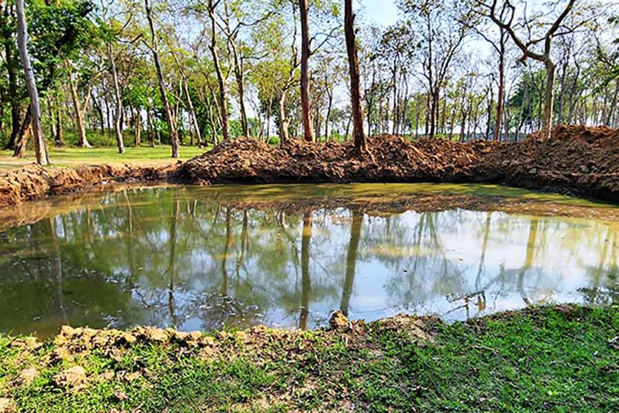 A Photograph of a pond