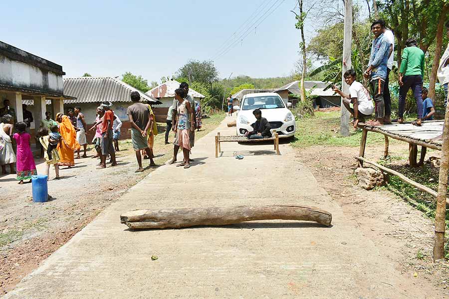 গাছের গুঁড়ি ফেলে। নিজস্ব চিত্র