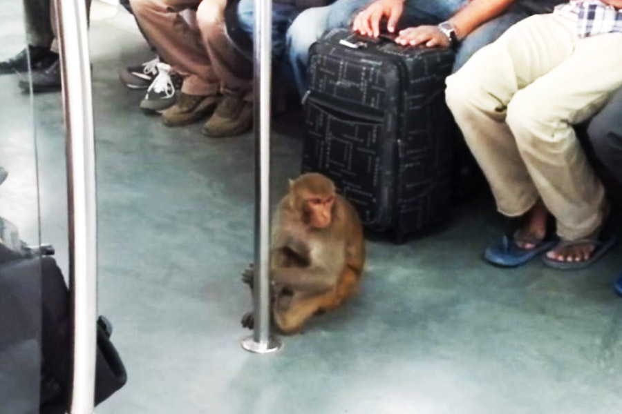 Viral videos inside Delhi Metro.