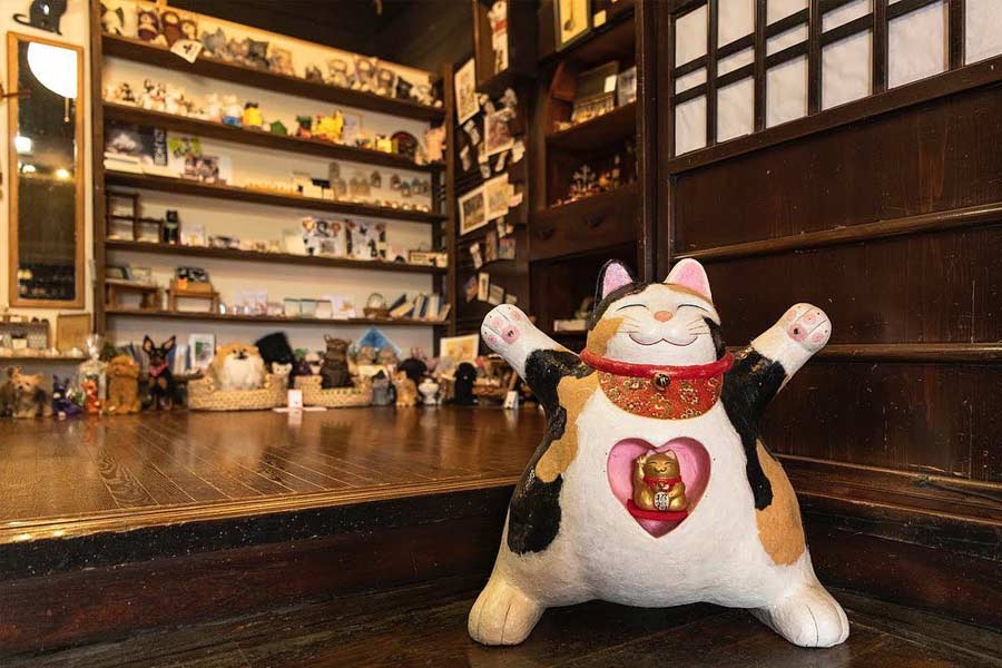 তিনি এ-ও জানান, কোয়ুকি-ই প্রথম বিড়াল পণ্ডিত নয় যে ‘মিউ মিউ’ মন্দিরের পুরোহিত হয়েছে। কোয়ুকির আগেও ওই মন্দিরে দু’জন পুরোহিত ছিল।