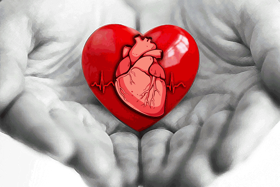 heart Health