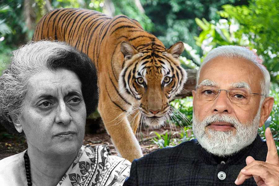 50 years of Project Tiger: PM Narendra Modi to launch mega event in Karnataka and Tamil Nadu