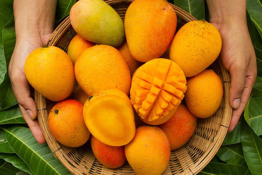 Why should you soak mangoes in water dgtl