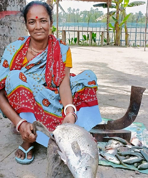 পেল্লায় মাছ নিয়ে বসে সরলা বিশ্বাস।