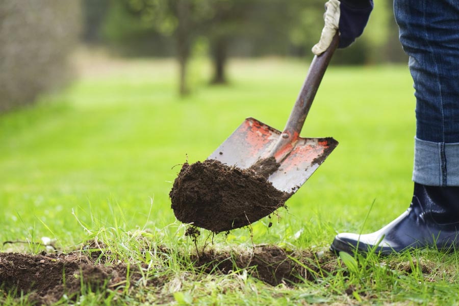 Man allegedly cuts off penis of friend during threesome and kills him with girlfriend’s help.