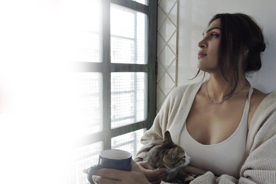 image of Bollywood celebrity Saisha Swapnil Shinde