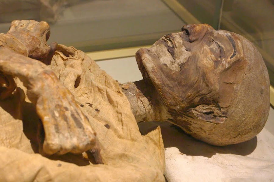 image of mummies