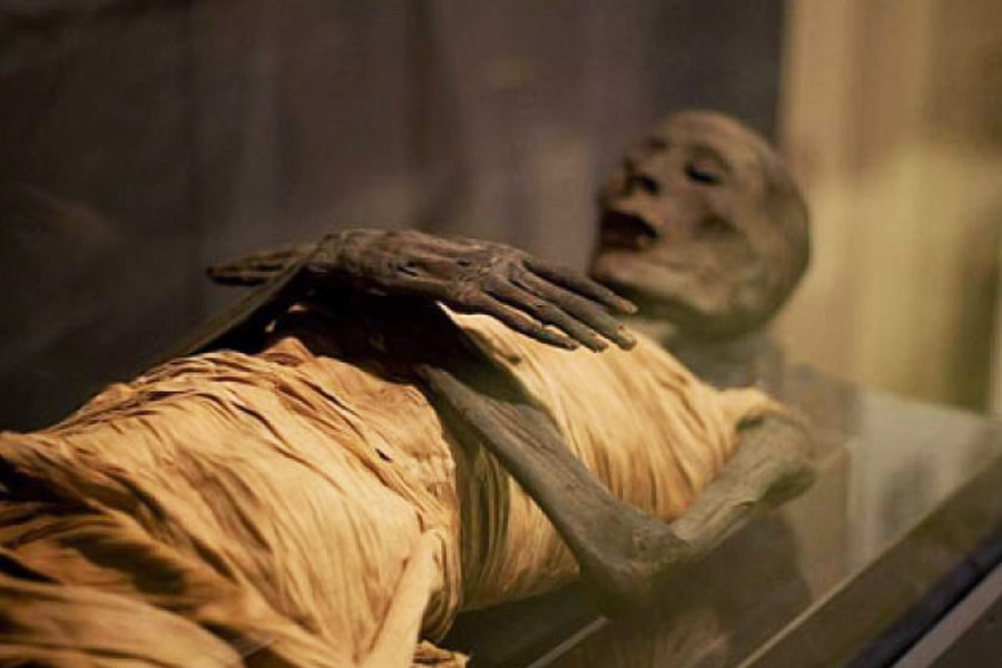 image of mummies