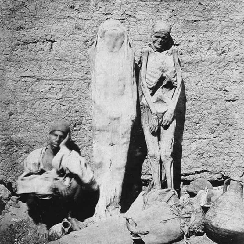 image of mummies