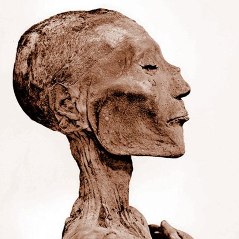 image of mummies