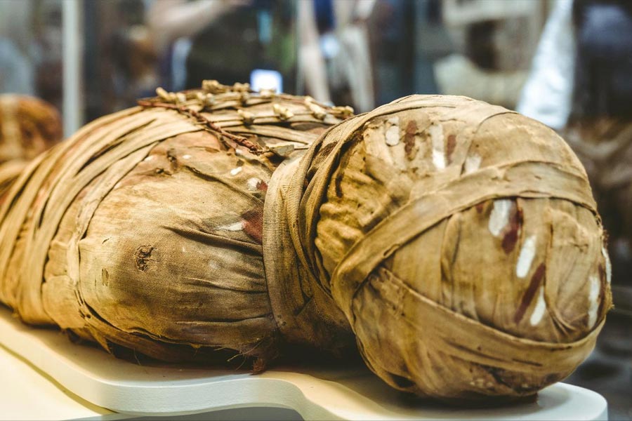 image of mummies