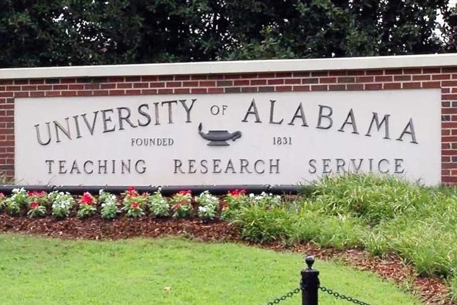A Photograph of University of Alabama