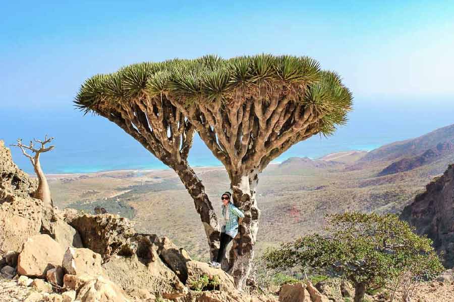 Socotra Island is the centre of attraction in Western Asia with many countries keeping a watch on it.