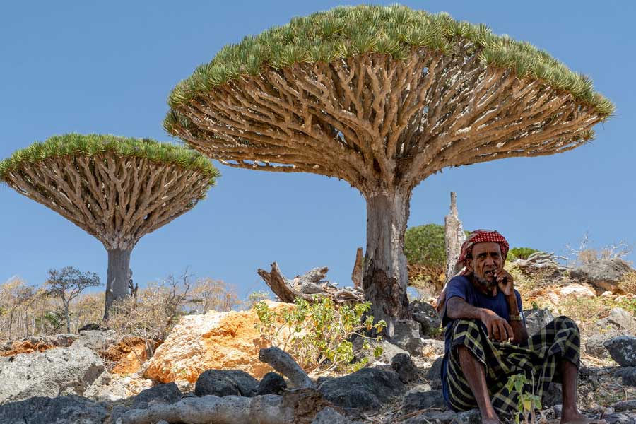 Socotra Island is the centre of attraction in Western Asia with many countries keeping a watch on it.