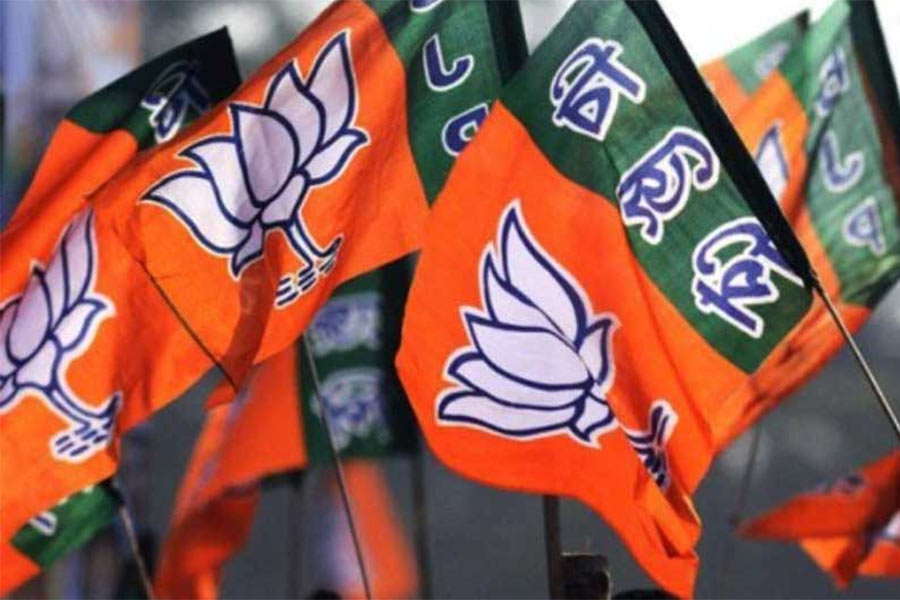 An image of BJP flag