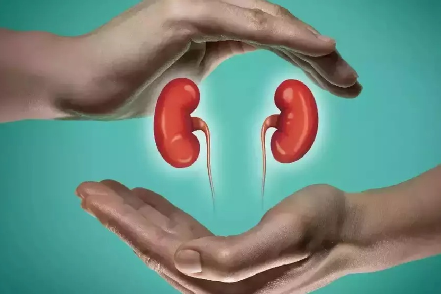 Symbolic image of kidney 