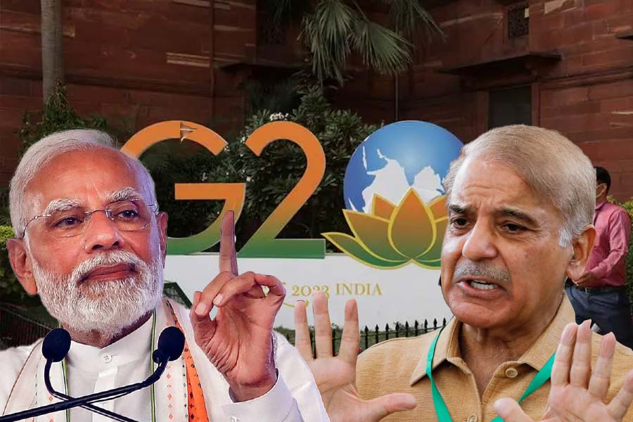 As Pakistan objects G20 Meeting in Srinagar of Jammu and Kashmir, India replies loudly