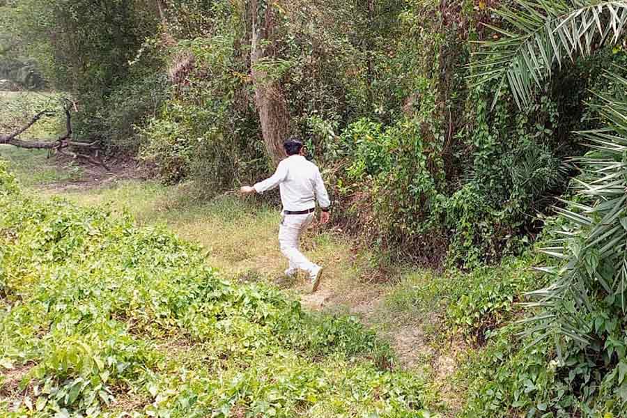 বিধায়কের বাড়ির চারপাশে, ঝোপঝাড়ে তল্লাশি। নিজস্ব চিত্র