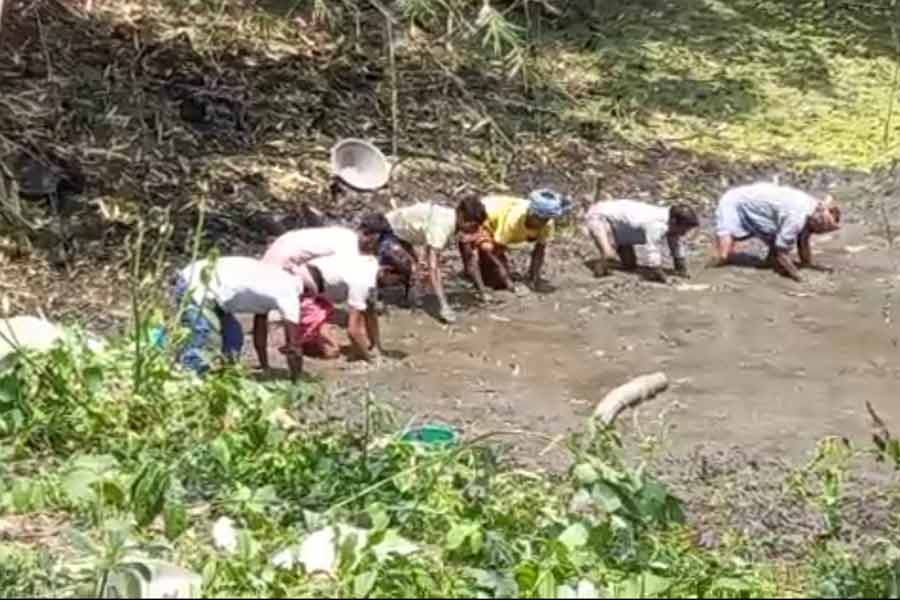 Local TMC leader who called people to search the mobile phone of TMC MLA Jiban Krishna Saha at Burwan of Murshidabad returned after controversy