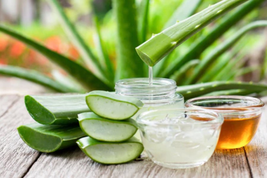 aloe vera pack