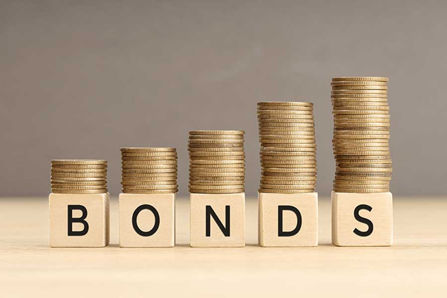 Govt bonds on offer now