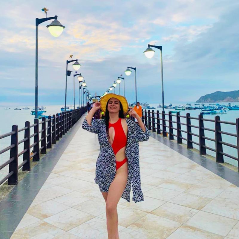 ডেনিস তাঁর বন্ধুকে মেসেজ করে বলেন, ‘‘আমার মন বলছে যে আমার সঙ্গে কিছু খারাপ হবে। আমার যদি কিছু হয়েও যায়, তবুও সব সময় মনে রাখবে যে আমি তোমাকে খুব ভালবাসি।’’ তার পর বেপাত্তা হয়ে যান ডেনিসও।