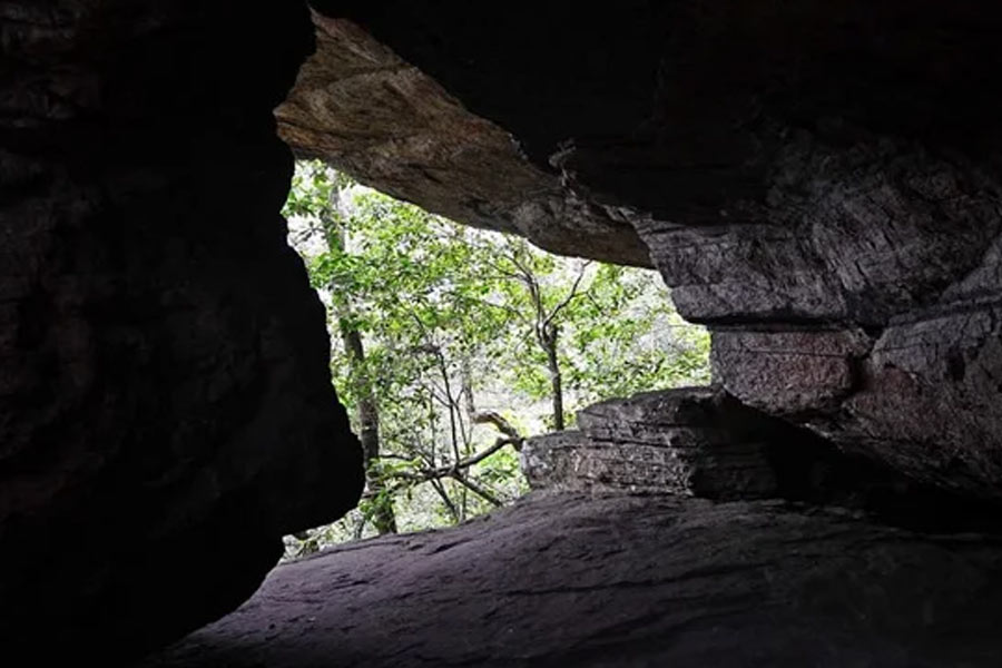 ফ্ল্যামিনি তাঁর গুহার অভিজ্ঞতাকে ‘চমৎকার এবং অপরাজেয়’ বলে বর্ণনা করেছেন। তিনি বলেন, ‘‘আমি দেড় বছর গুহার ভিতরে ছিলাম। নিজের সঙ্গে ছাড়া কারও সঙ্গে কথা বলিনি।’’
