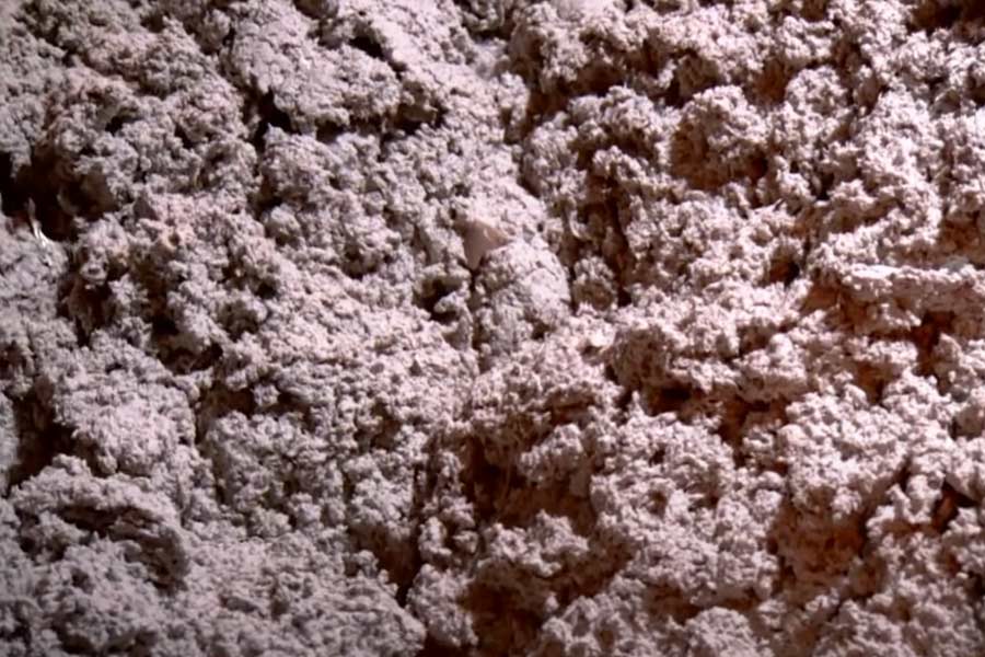 তন্তুতে পরিণত হওয়ার পর তা জলের সঙ্গে মেশানো হয়। জলে মেশানো এই তন্তুগুলি ‘পাল্প’ নামে পরিচিত।